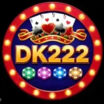DK222 Game