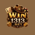 WIN1313 Game