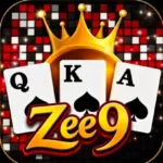 Zee9 Game